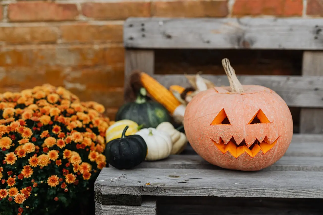 7 ideias de PDV criativos de Halloween para vender mais no ‘Dia das Bruxas’